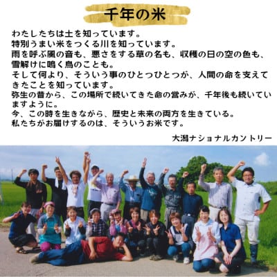 【毎月定期便】新潟県上越産コシヒカリ 精米 5kg全6回
