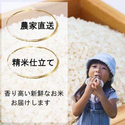 【毎月定期便】新潟県上越産コシヒカリ 精米 5kg全6回