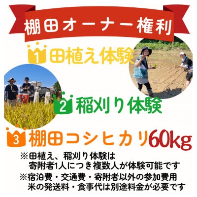 棚田オーナー権と農作業体験