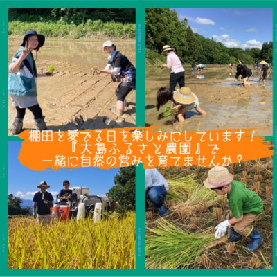 棚田オーナー権と農作業体験
