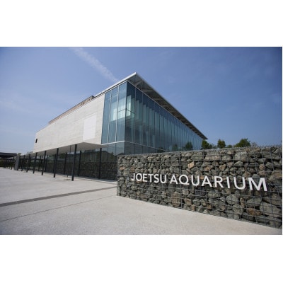 上越市立水族博物館 うみがたり入館券 大人(18歳以上) 1枚
