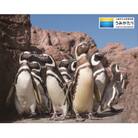 上越市立水族博物館 うみがたり入館券 大人(18歳以上)2枚+小中学生1枚+幼児(4歳以上)1枚