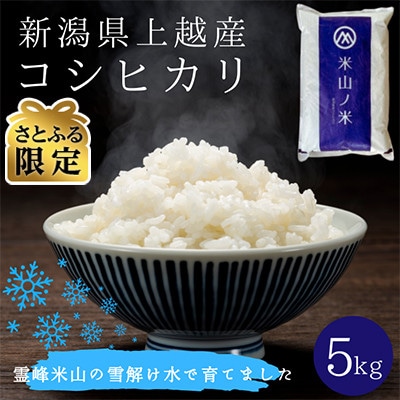 【さとふる限定】【数量限定】新潟県上越産コシヒカリ 精米 5kg 雪解け水で育てた米山ノ米