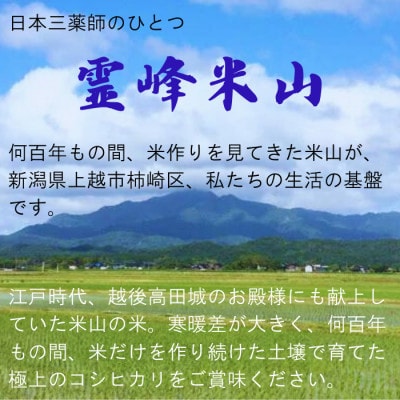 【さとふる限定】【数量限定】新潟県上越産コシヒカリ 精米 5kg 雪解け水で育てた米山ノ米