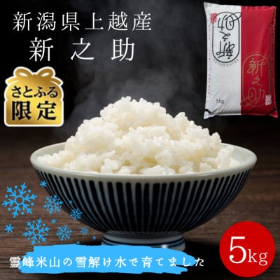 【さとふる限定】令和8年(新米) 新潟県上越産 新之助 5kg 【11月下旬発送】