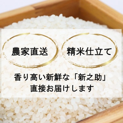 【さとふる限定】令和7年産 新潟県上越産 1月下旬発送 新之助(精米)5kg 数量限定