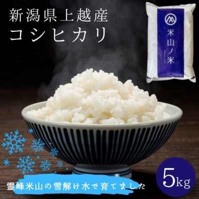 令和7年産 新潟県上越産コシヒカリ 精米 5kg 数量限定 3月中旬発送