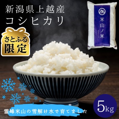 【さとふる限定】令和7年産 新潟県上越産コシヒカリ 3月中旬発送 精米 5kg 数量限定