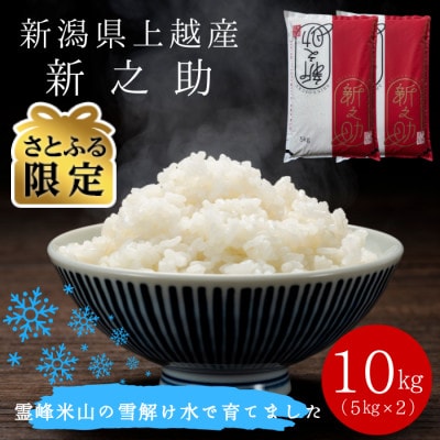 【さとふる限定】令和8年(新米) 新潟県上越産 新之助 10kg 【11月下旬発送】