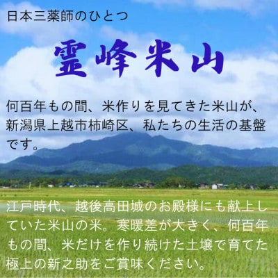 【さとふる限定】令和8年(新米) 新潟県上越産 新之助 10kg 【11月下旬発送】