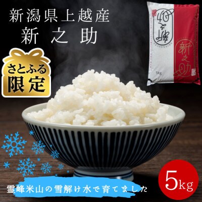 【発送月固定定期便】【さとふる限定】新潟県上越産 新之助(精米)5kg 数量限定　全3回