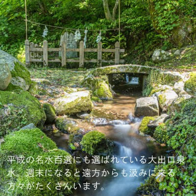 【発送月固定定期便】【さとふる限定】新潟県上越産 新之助(精米)5kg 数量限定　全3回