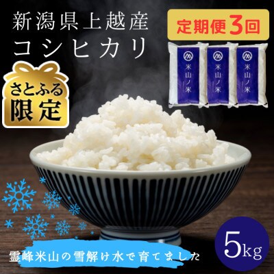 【発送月固定定期便】【さとふる限定】新潟県上越産コシヒカリ(精米)5kg全3回