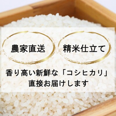【発送月固定定期便】【さとふる限定】新潟県上越産コシヒカリ(精米)5kg全3回