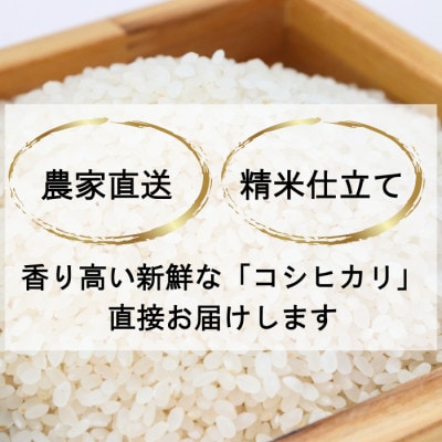 【発送月固定定期便】【さとふる限定】新潟県上越産コシヒカリ(精米)5kg全3回