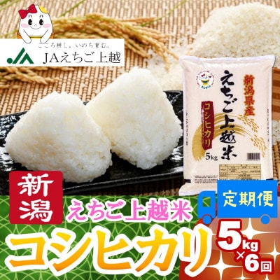 【毎月定期便】新潟県産コシヒカリ えちご上越米 精米5kg全6回