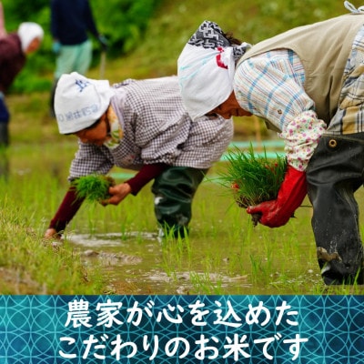 【毎月定期便】新潟県産コシヒカリ えちご上越米 精米5kg全6回