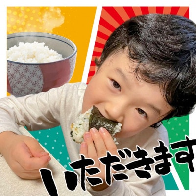 【毎月定期便】新潟県産コシヒカリ えちご上越米 精米5kg全6回
