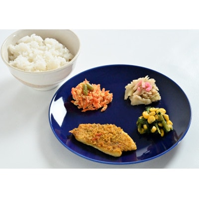 いろどりおかずプレートと新潟県産冷凍ごはんセット(おかず・ごはん 各10食)