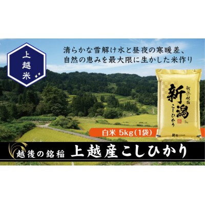 【令和7年産新米】食味鑑定士厳選　新潟県上越市産こしひかり　5kg
