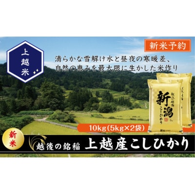 【令和7年産新米先行予約】食味鑑定士厳選　新潟県上越市産こしひかり　合計10kg