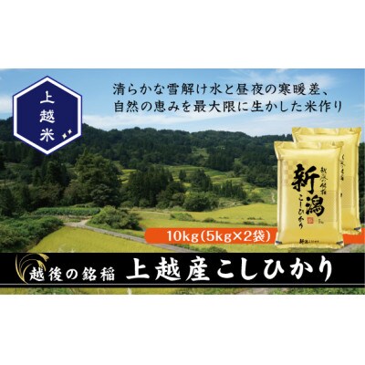 【令和7年産新米】食味鑑定士厳選　新潟県上越市産こしひかり　合計10kg