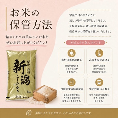 【新米　令和8年産】【食味鑑定士厳選】　新潟県上越市産こしひかり　合計10kg