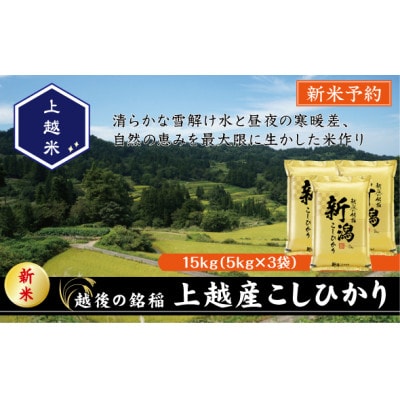 【令和7年産新米先行予約】食味鑑定士厳選　新潟県上越市産こしひかり　合計15kg
