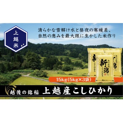 【令和7年産新米】食味鑑定士厳選　新潟県上越市産こしひかり　合計15kg