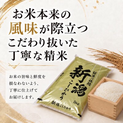 【新米　令和8年産】【食味鑑定士厳選】　新潟県上越市産こしひかり　合計15kg