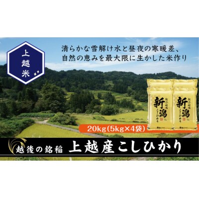 【令和7年産新米】食味鑑定士厳選　新潟県上越市産こしひかり　合計20kg