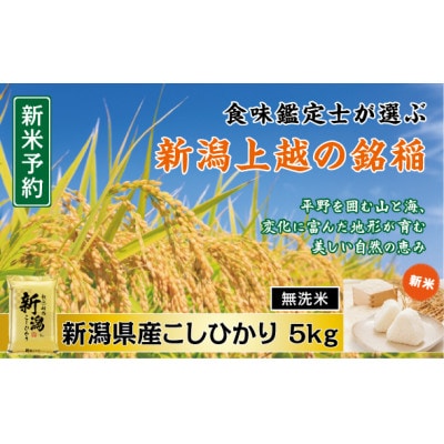 【令和7年産新米先行予約】　「無洗米」　食味鑑定士厳選　新潟県上越市産こしひかり　5kg
