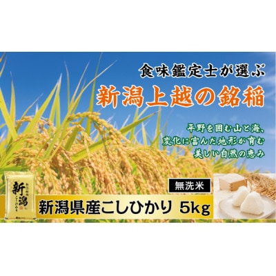 【令和7年産新米】　「無洗米」　食味鑑定士厳選　新潟県上越市産こしひかり　5kg