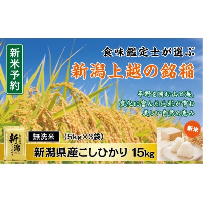 【令和7年産新米先行予約】無洗米　食味鑑定士厳選　新潟県上越市産こしひかり　5kg×3袋