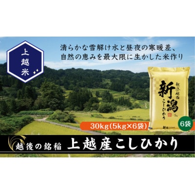 【令和7年産】食味鑑定士厳選　新潟県上越市産こしひかり　合計30kg