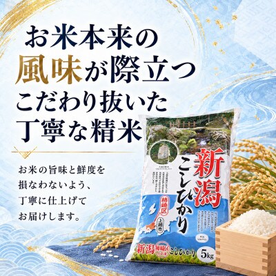 【新米　令和8年産】【食味鑑定士厳選】　新潟県上越市産(柿崎地区)こしひかり　20kg(5kg×4)