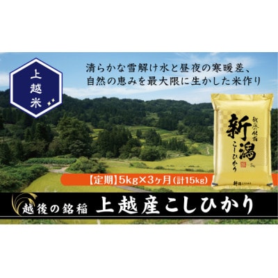【毎月定期便】食味鑑定士厳選 上越産こしひかり[5kg]全3回