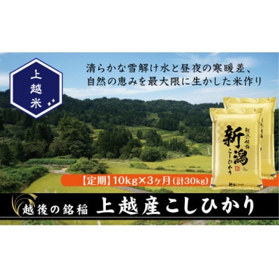【毎月定期便】食味鑑定士厳選 上越産こしひかり[5kg×2袋]全3回