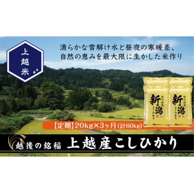 【毎月定期便】食味鑑定士厳選 上越産こしひかり[5kg×4袋]全3回
