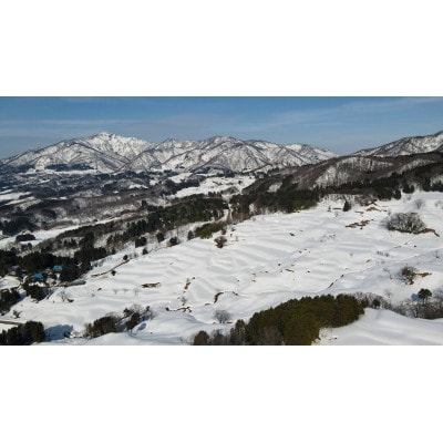 【毎月定期便】食味鑑定士厳選 上越産こしひかり[5kg×4袋]全3回