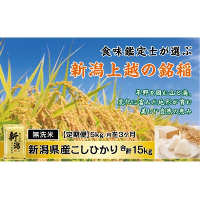 【毎月定期便】〈無洗米〉食味鑑定士厳選 上越産こしひかり[5kg]全3回