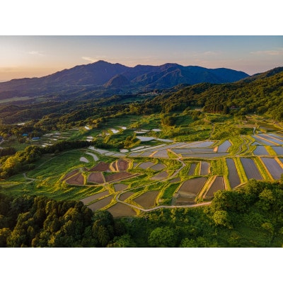 【毎月定期便】〈無洗米〉食味鑑定士厳選 上越産こしひかり[5kg]全3回