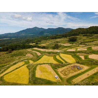 【毎月定期便】〈無洗米〉食味鑑定士厳選 上越産こしひかり[5kg×4袋]全3回