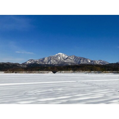 【毎月定期便】食味鑑定士厳選 上越産こしひかり[5kg×6袋]全3回