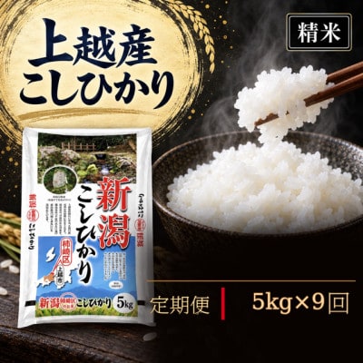 【毎月定期便】【食味鑑定士厳選】新潟県上越市産(柿崎地区)こしひかり　5kg全9回