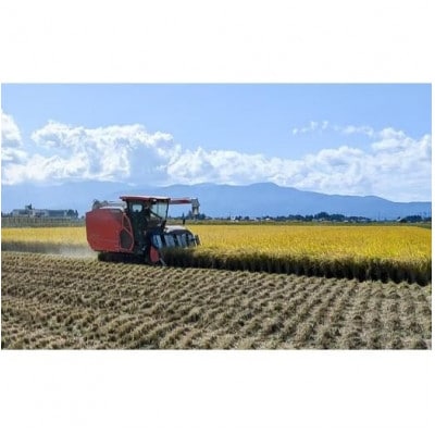【10月中旬より順次出荷】令和7年産　新潟県上越市産　コシヒカリ　白米　10kg