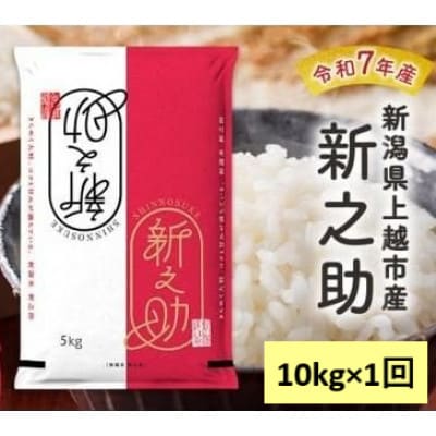 【10月中旬より順次出荷】令和7年産　新潟県上越市産　新之助　白米　10kg