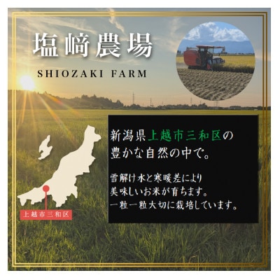 先行予約【10月中旬より順次出荷】令和8年産 新潟県 上越市産 ミルキークィーン 5kg 白米 精米