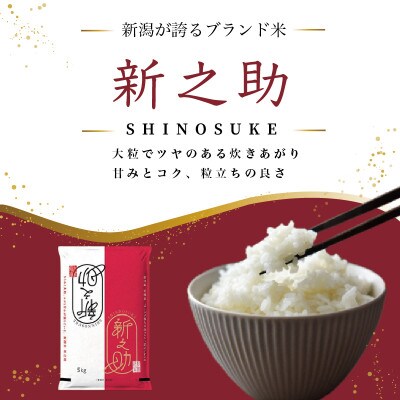 先行予約【12月中旬より順次出荷予定】令和8年産 新潟県 上越市産 新之助 5kg 白米 精米