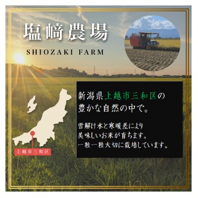 先行予約【12月中旬より順次出荷】令和8年産 新潟県 上越市産 ミルキークィーン 5kg 白米 精米